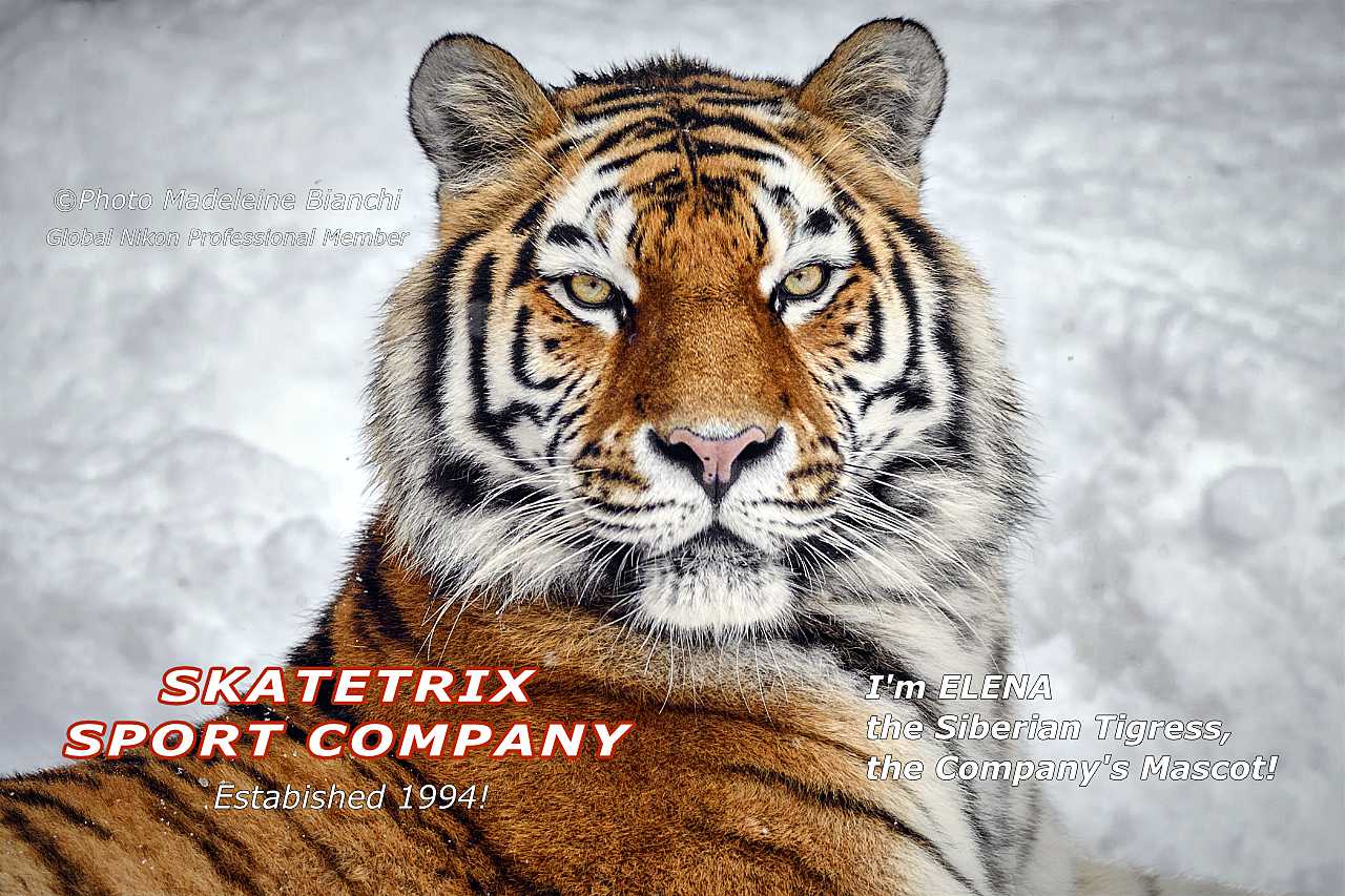 Siberian Tigeess El Lena Gorgeous Mascot Skatetrix Sport Company Snow 12 12 10